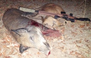 wilson combat 308 hogs down