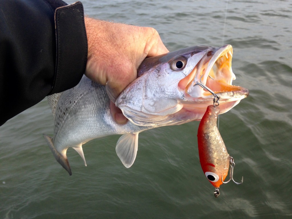 Texas Fishing