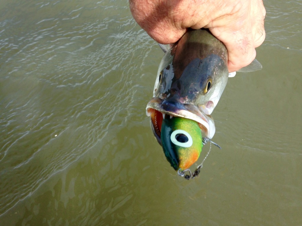 Texas Fishing