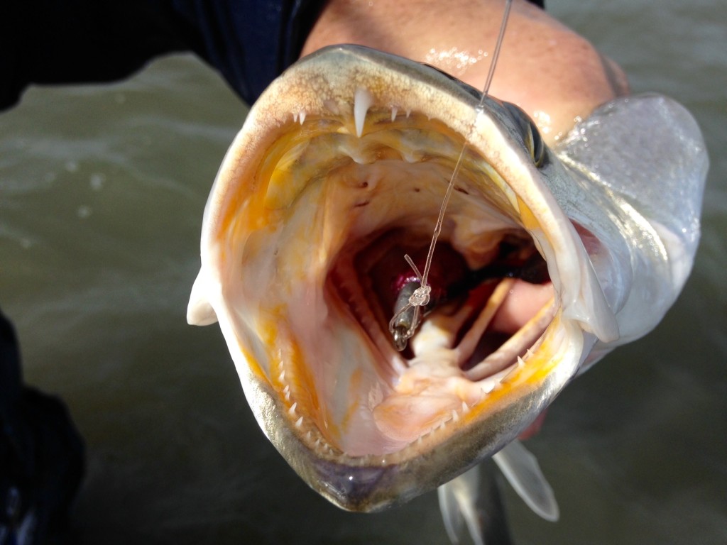 Texas Fishing