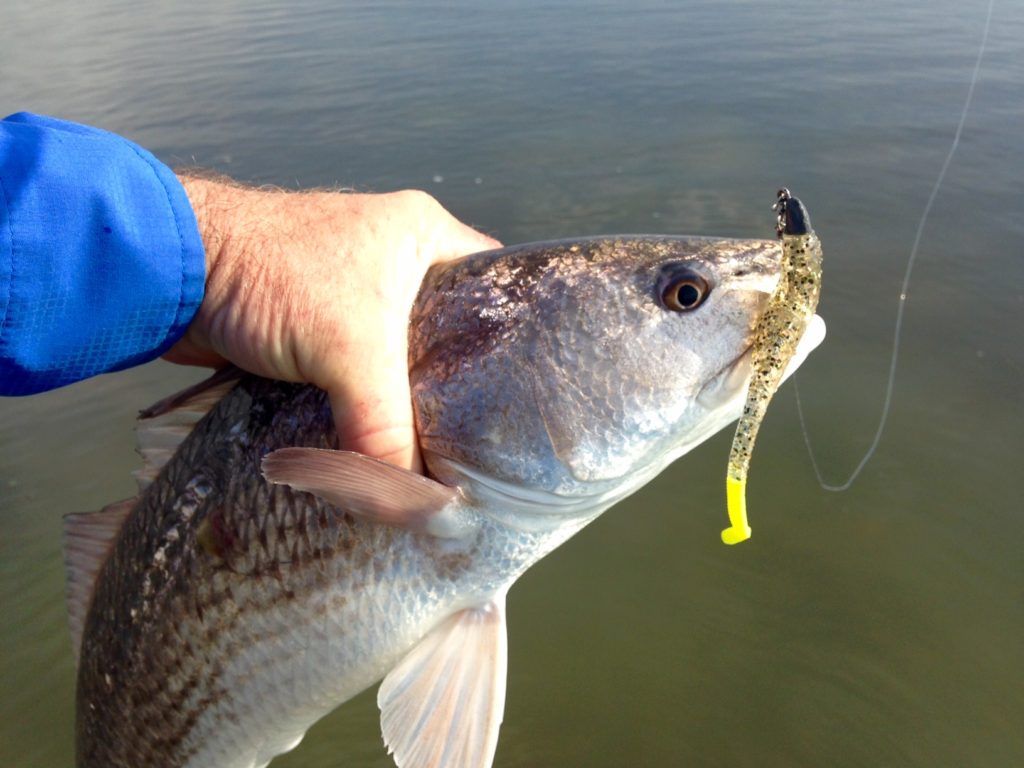 Texas fishing