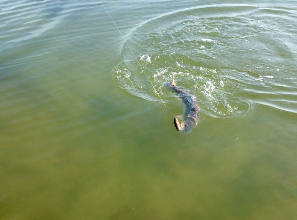 Texas fishing