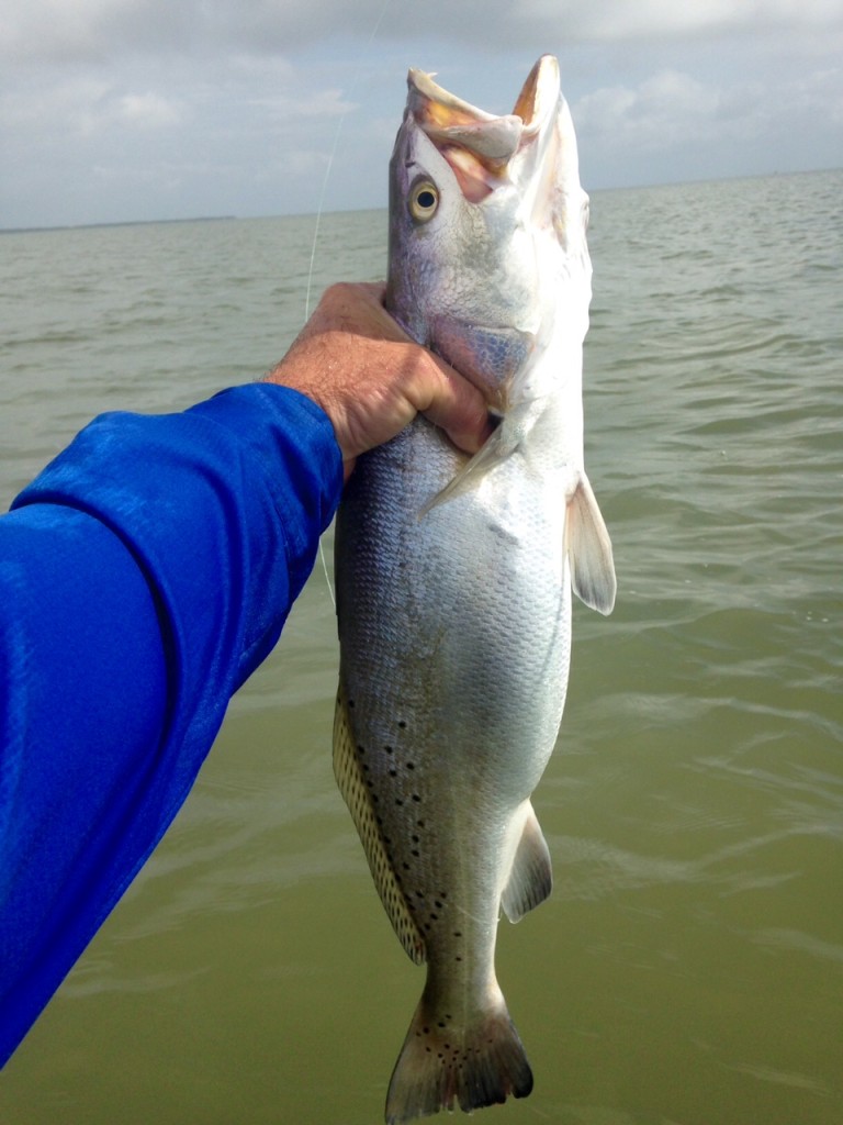 Texas Fishing