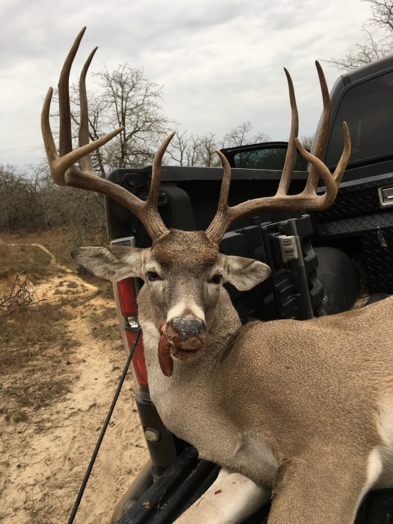Texas deer hunting