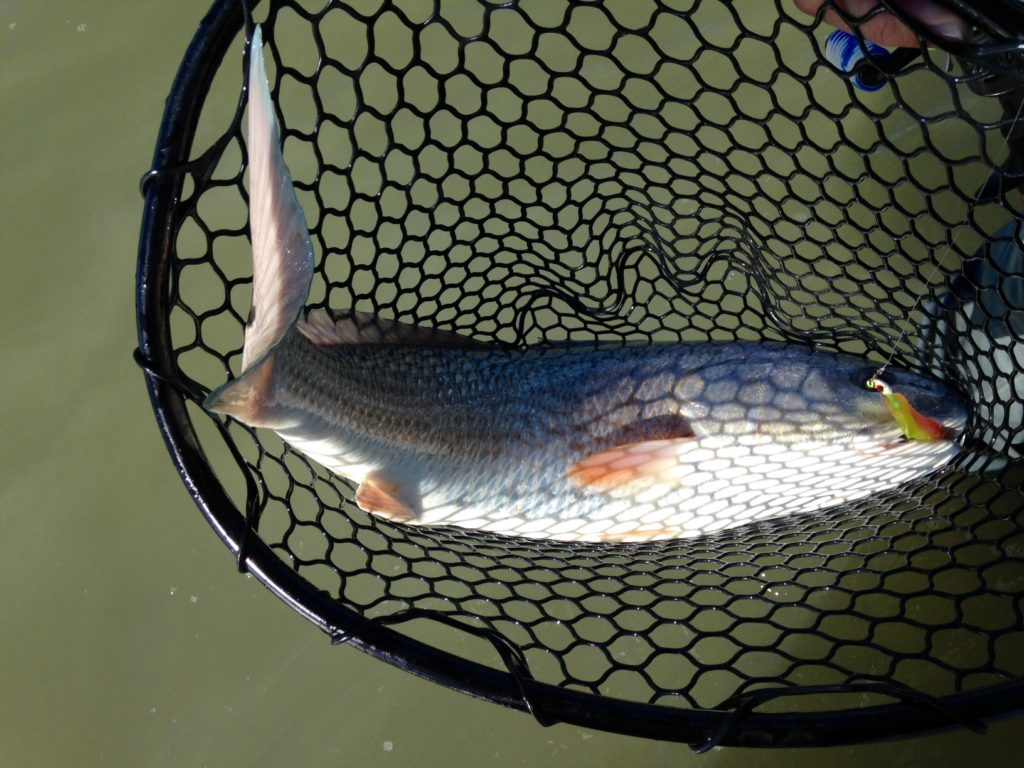 Port O'Connor fishing