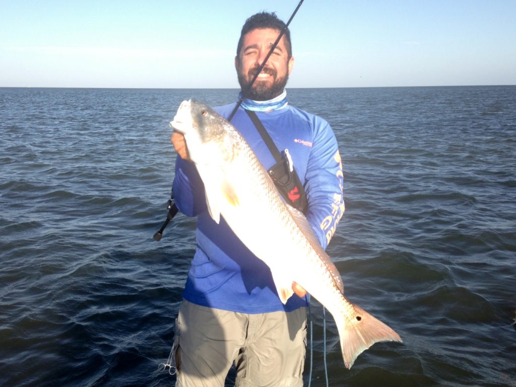 Texas redfish