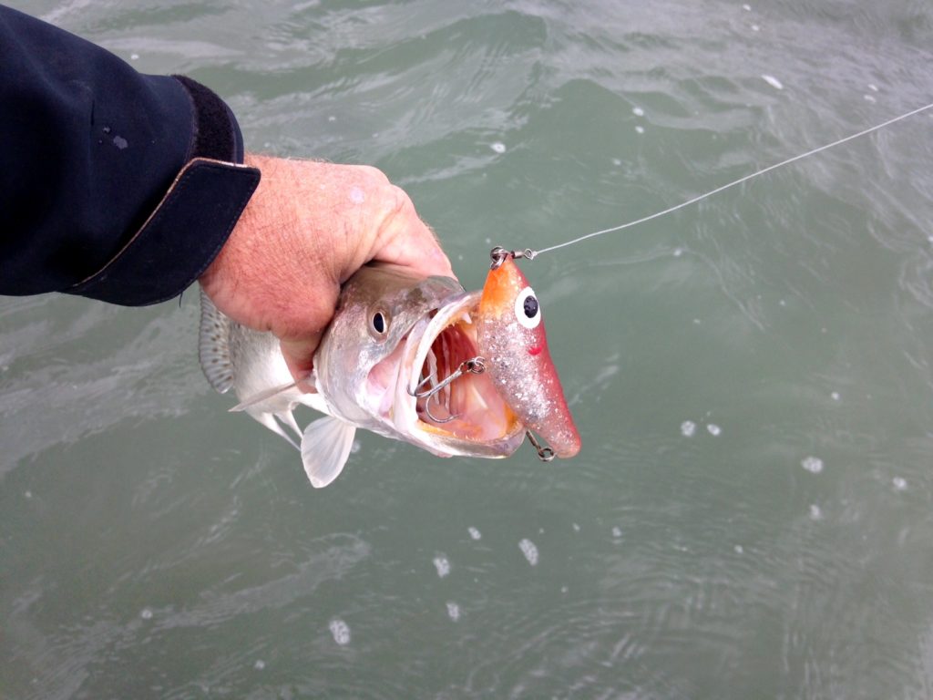 Texas fishing