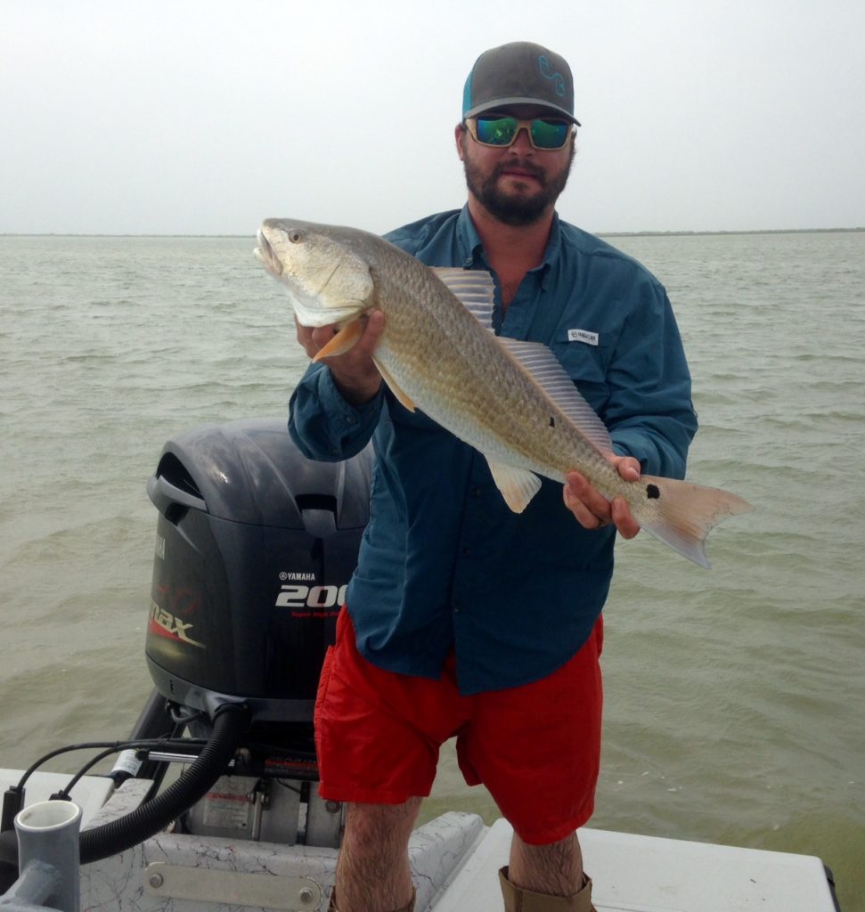 redfish