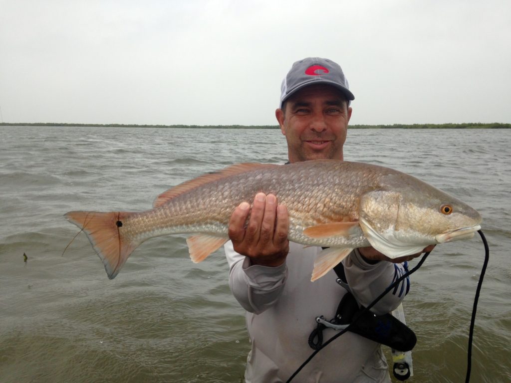 Redfish