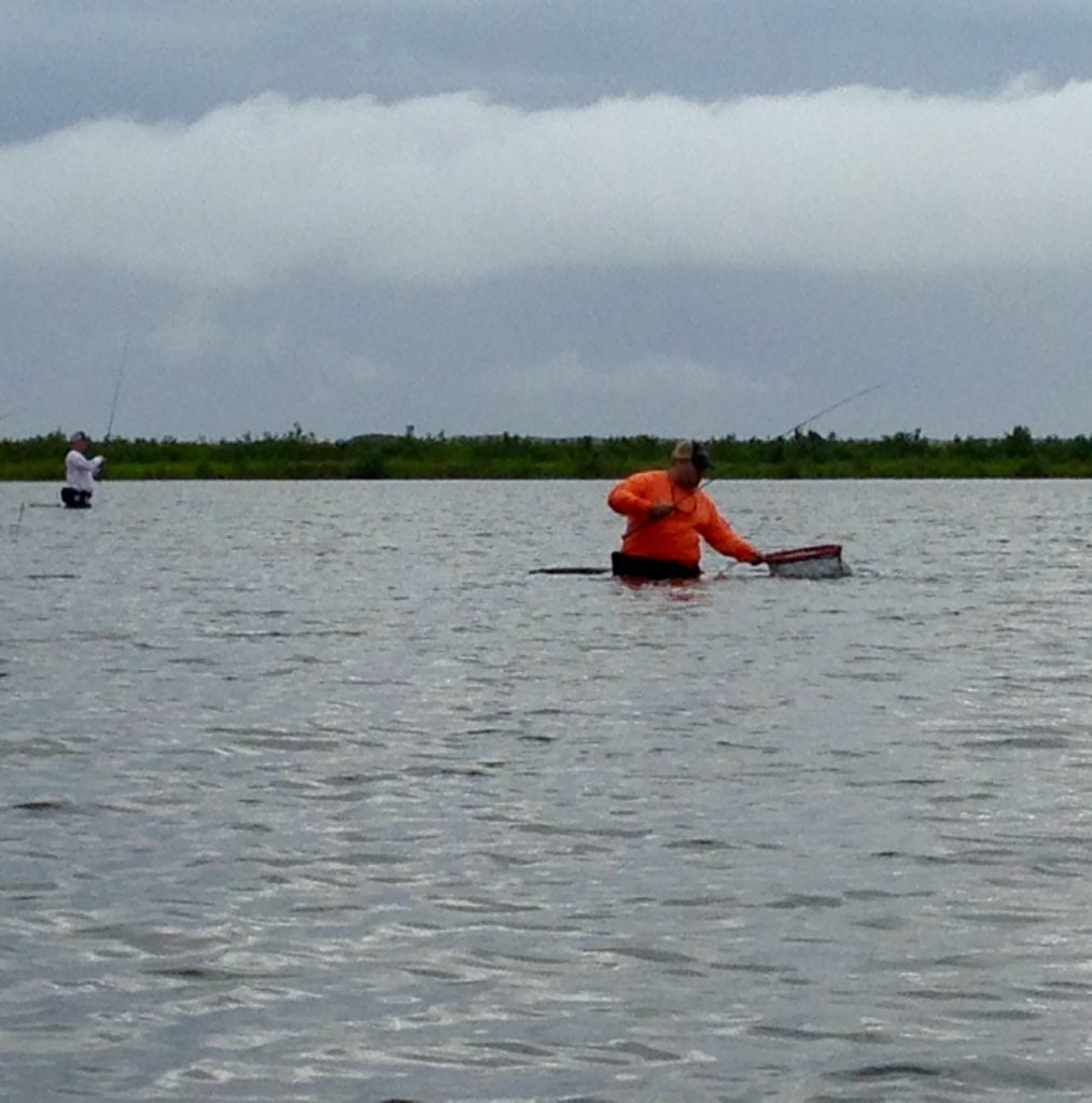 Capt Beabout Wade Fishing