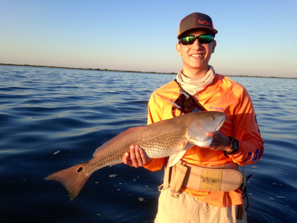 Texas redfish