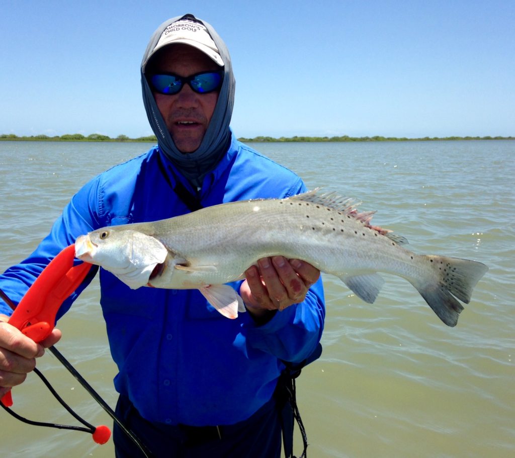 speckled trout