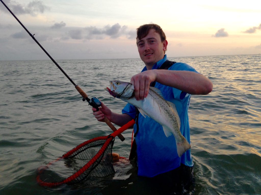 Texas speckled trout