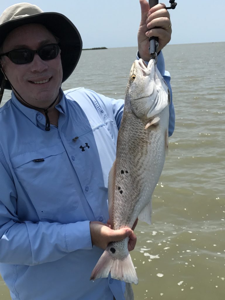 Texas redfish