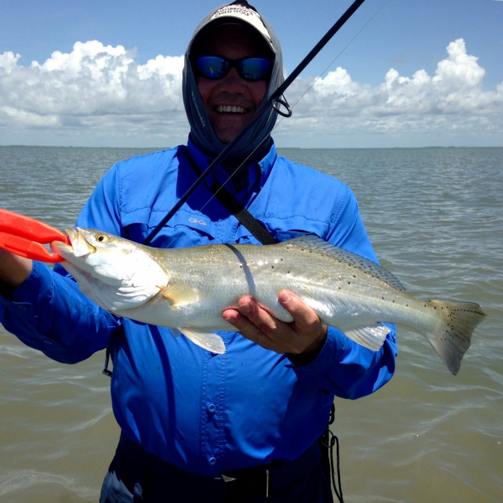 trophy trout