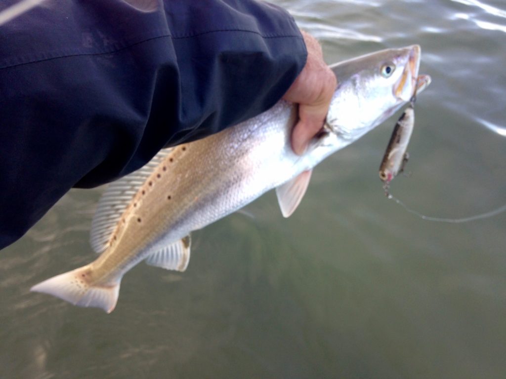 Texas fishing