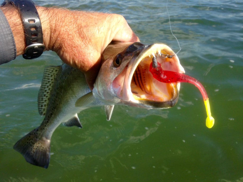 Texas fishing