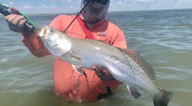 Wade Fishing for Trophy Speckled Trout