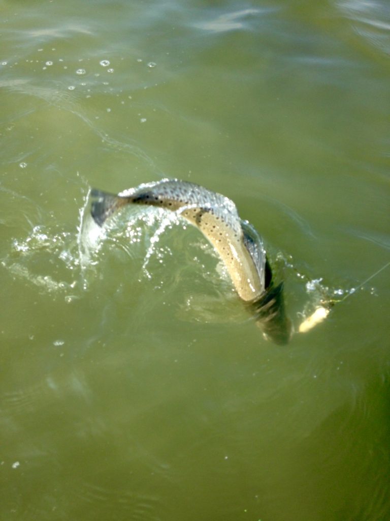 Texas fishing