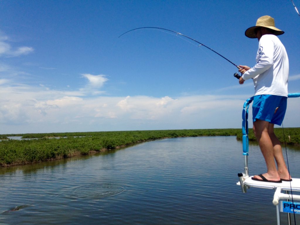 Texas Redfish