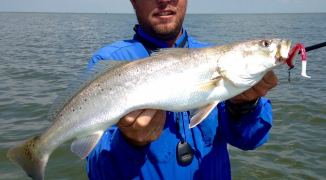 Capt. Nathan Beabout Fishing Report October 1