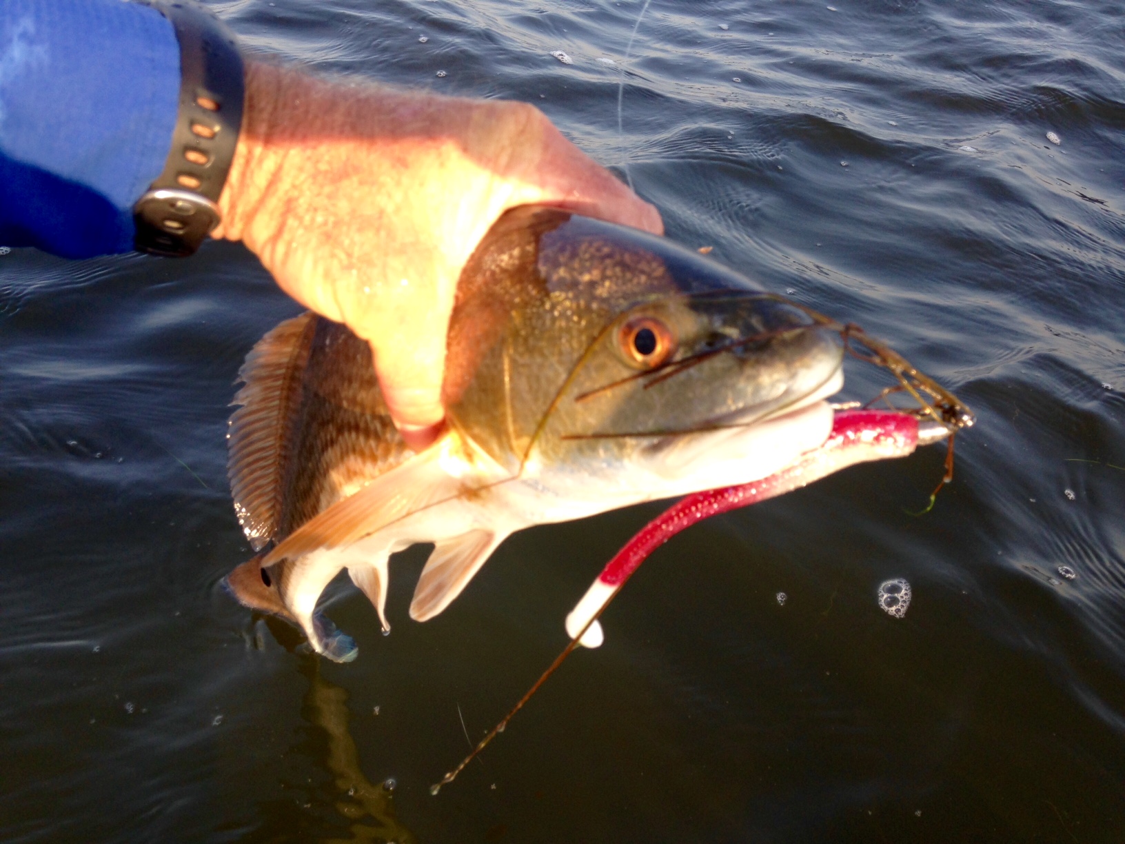 Texas fishing