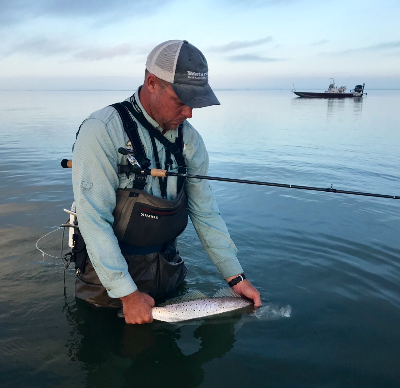 trout released