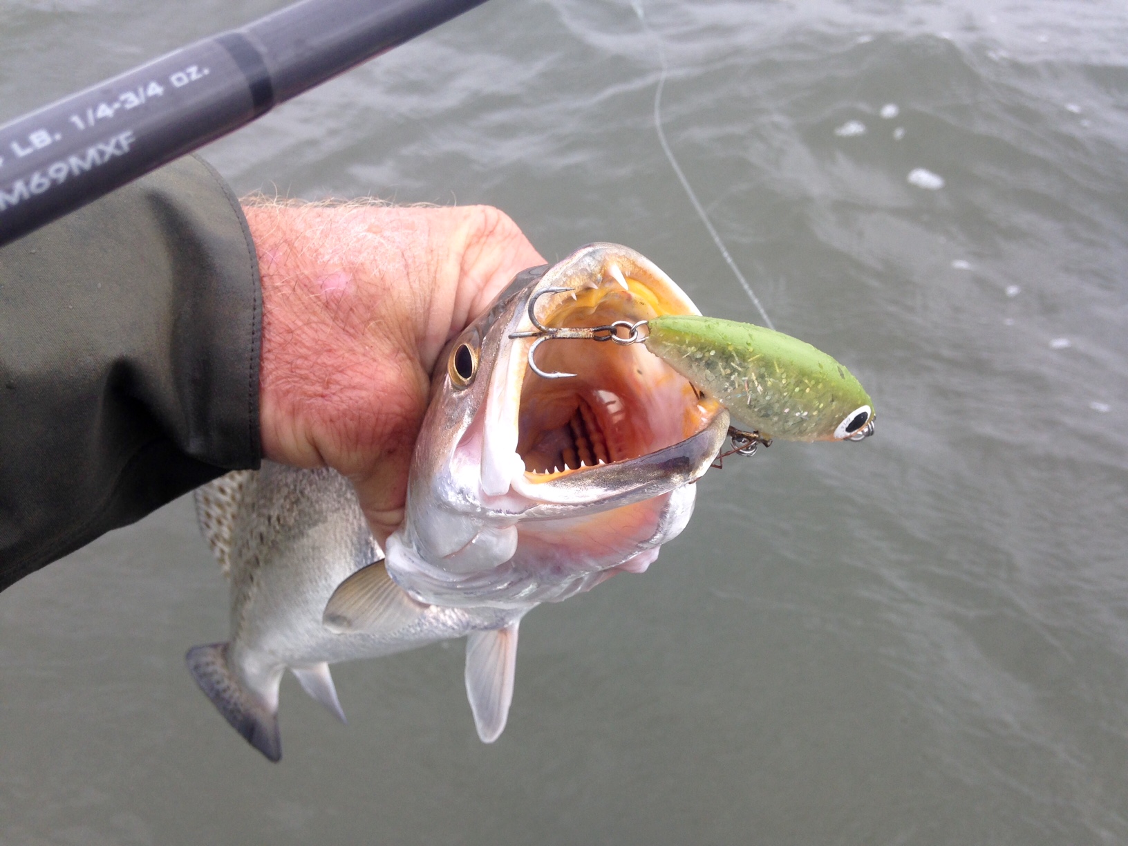 Texas wade fishing