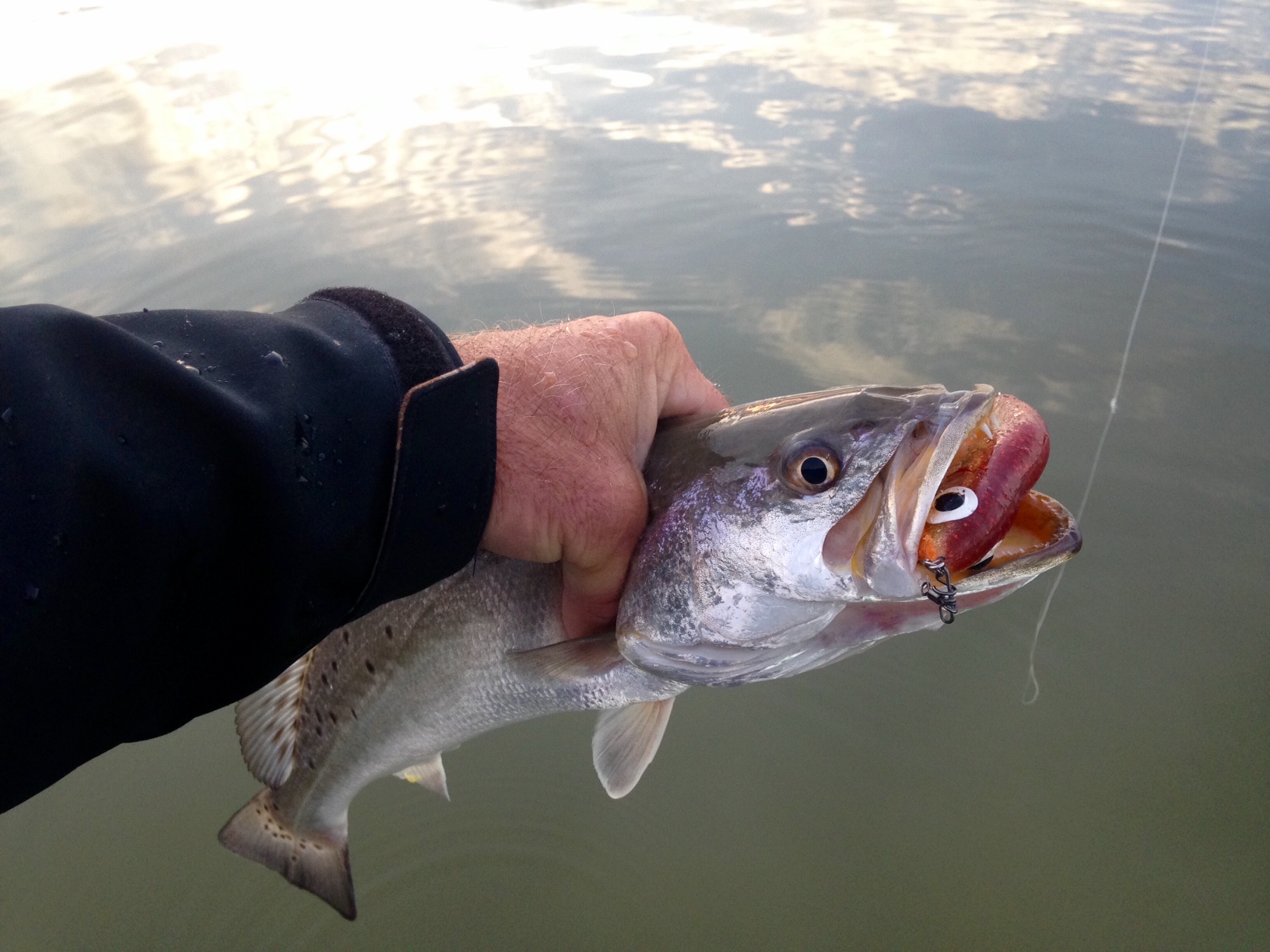 Winter wade fishing