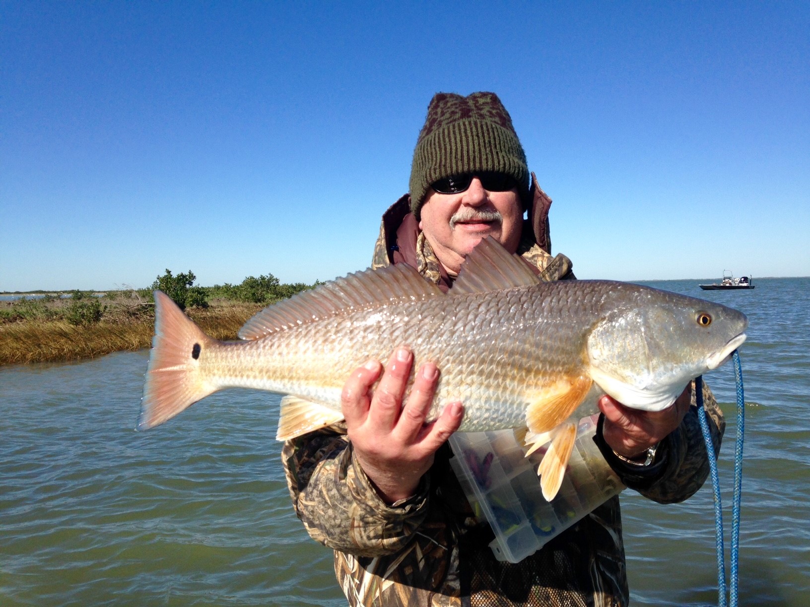 redfish