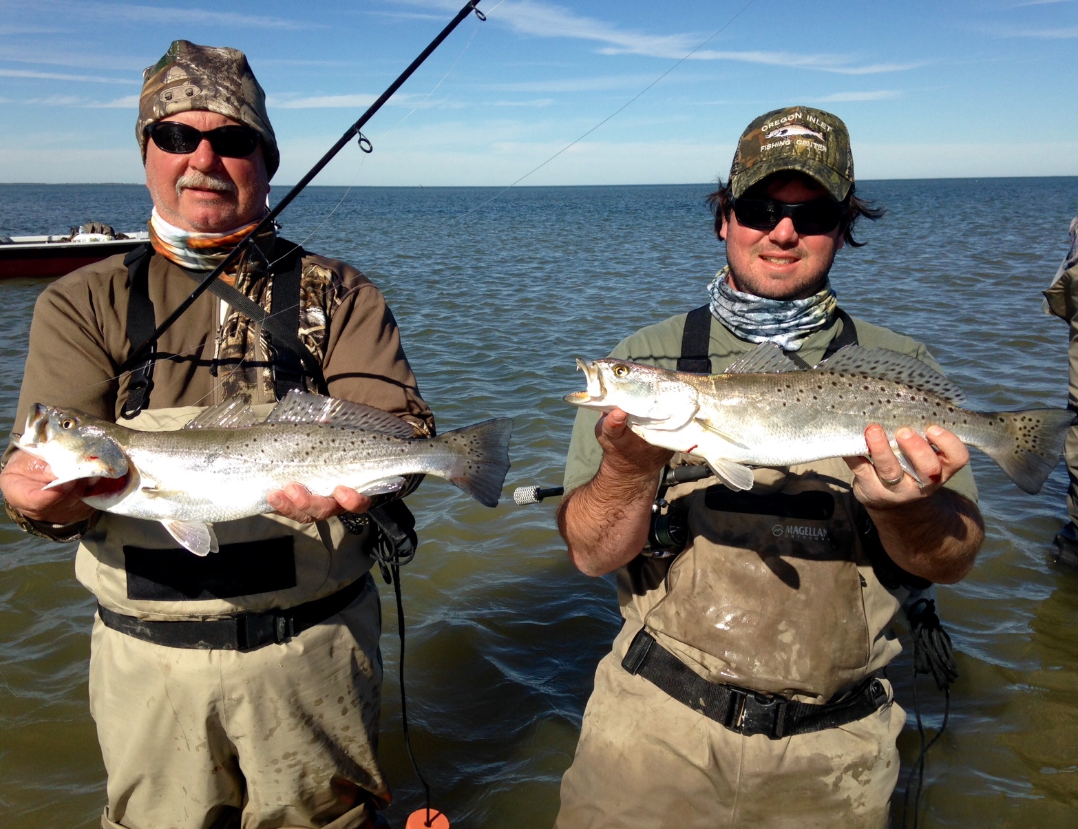 Speckled trout