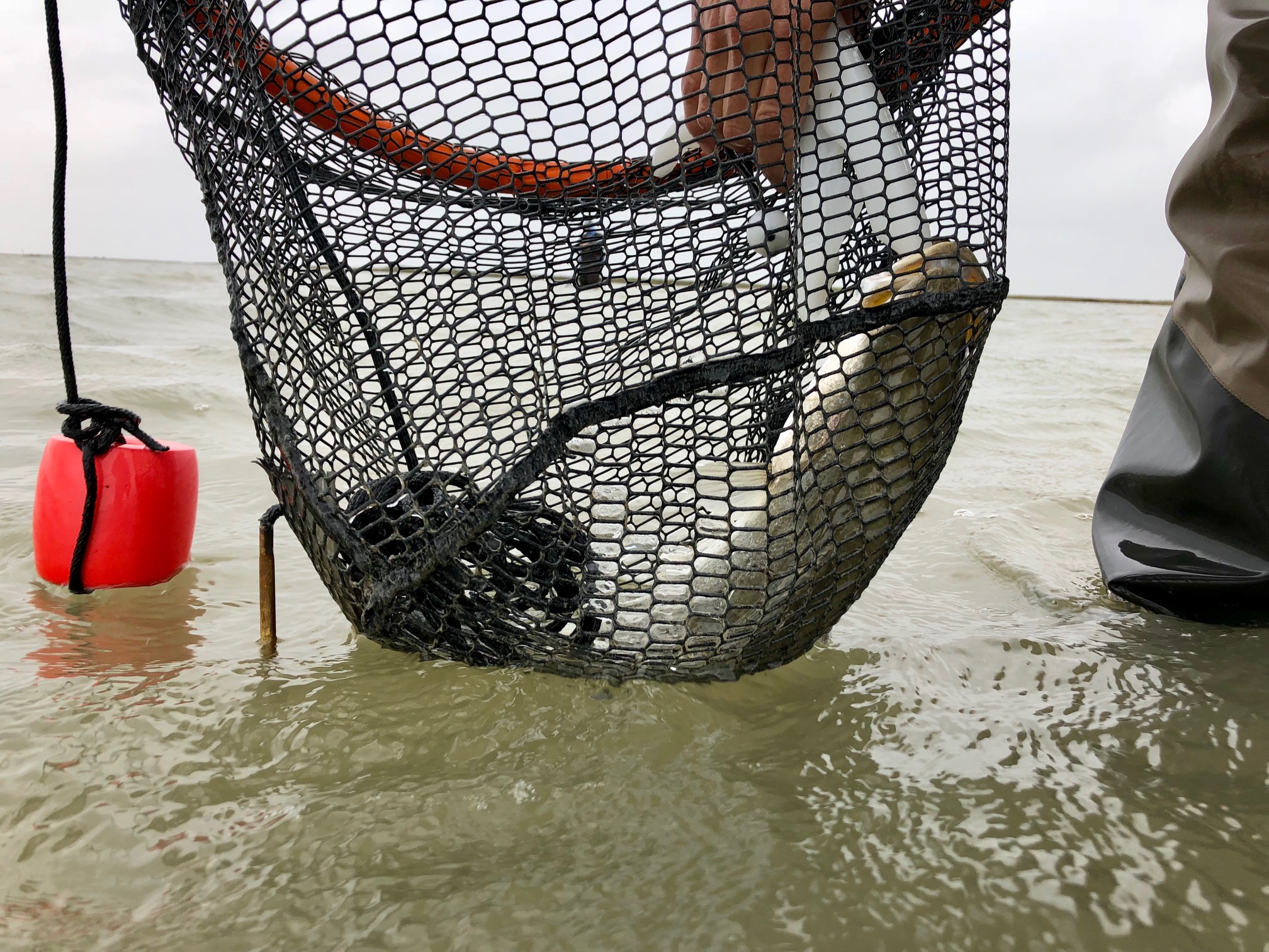 Down South Lures and Corky Fatboys - Texas Outdoors by the Coker Boys