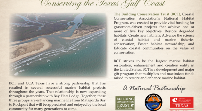Cedar Bayou and other marine projects