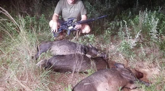 Hunting hogs with Thermal