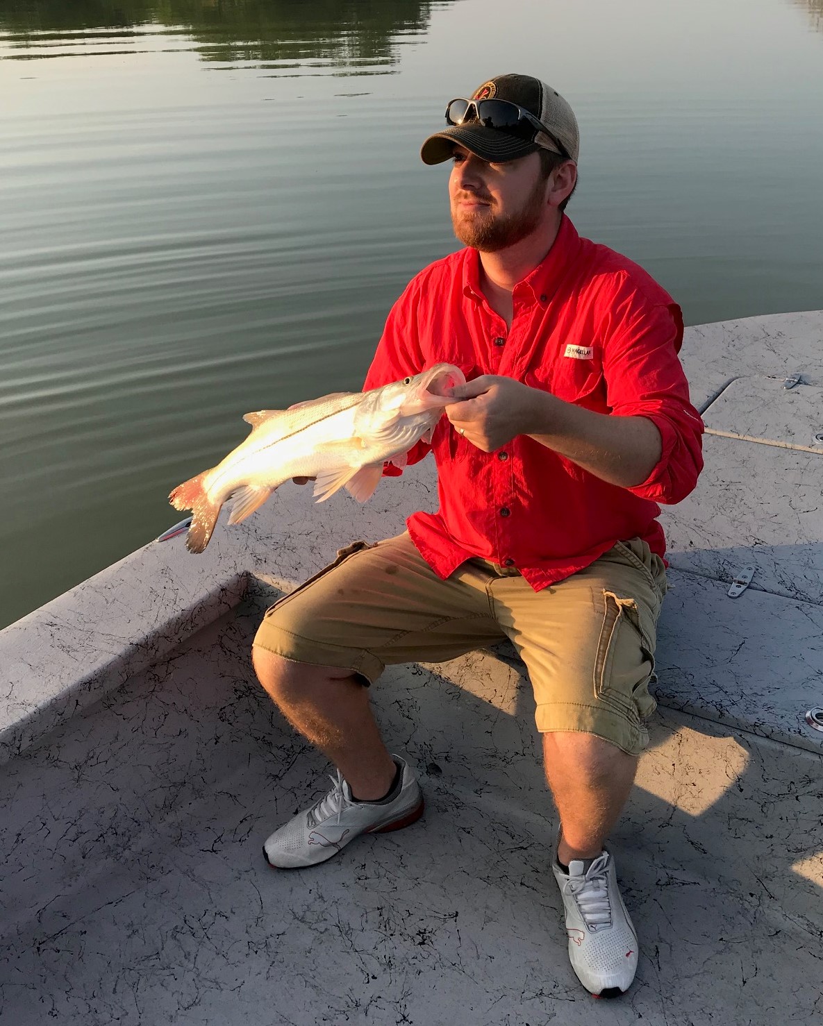 Texas snook