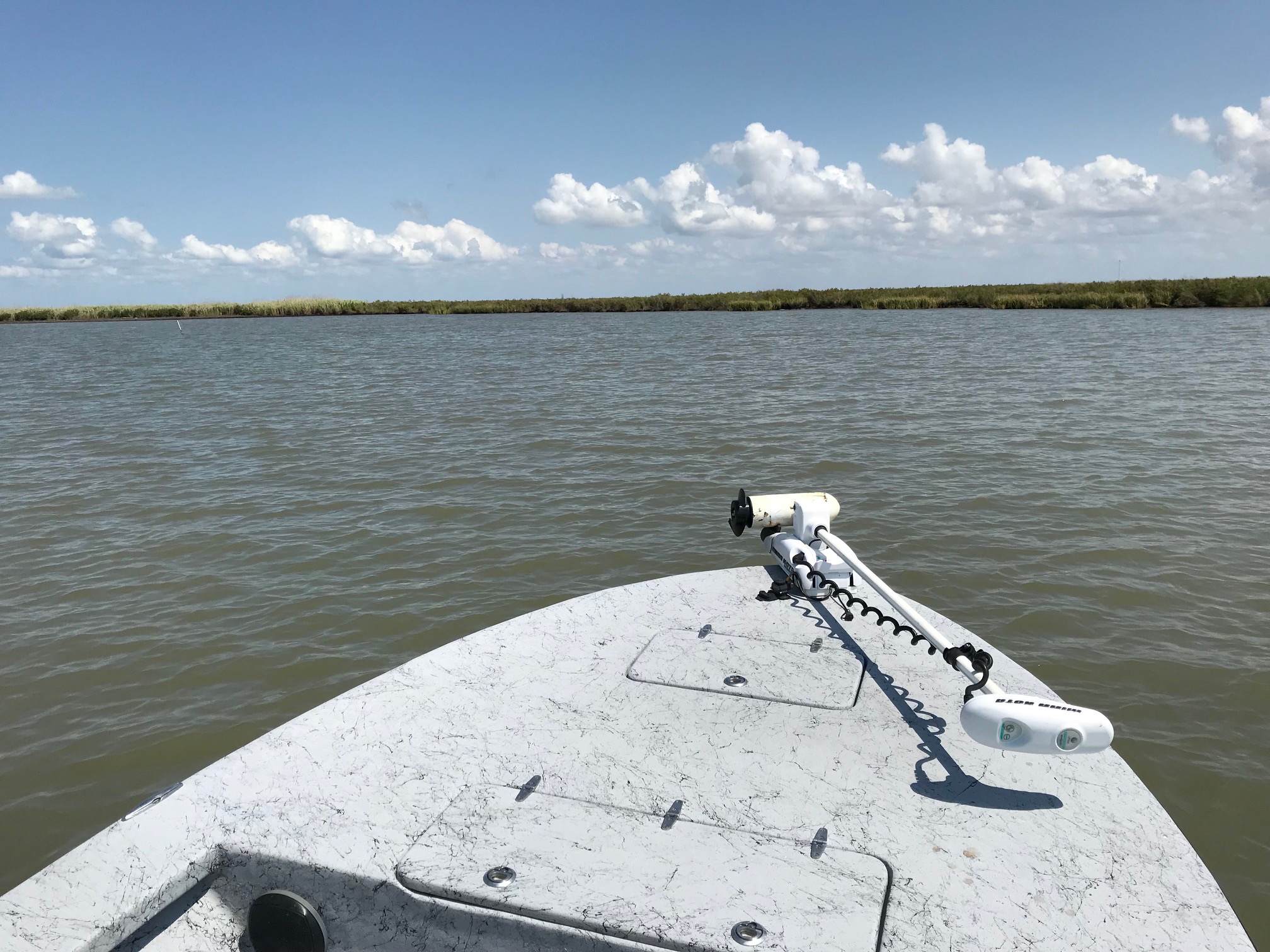 Texas snook