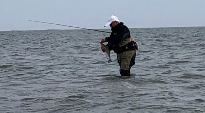 Seadrift Trout and Redfish Report