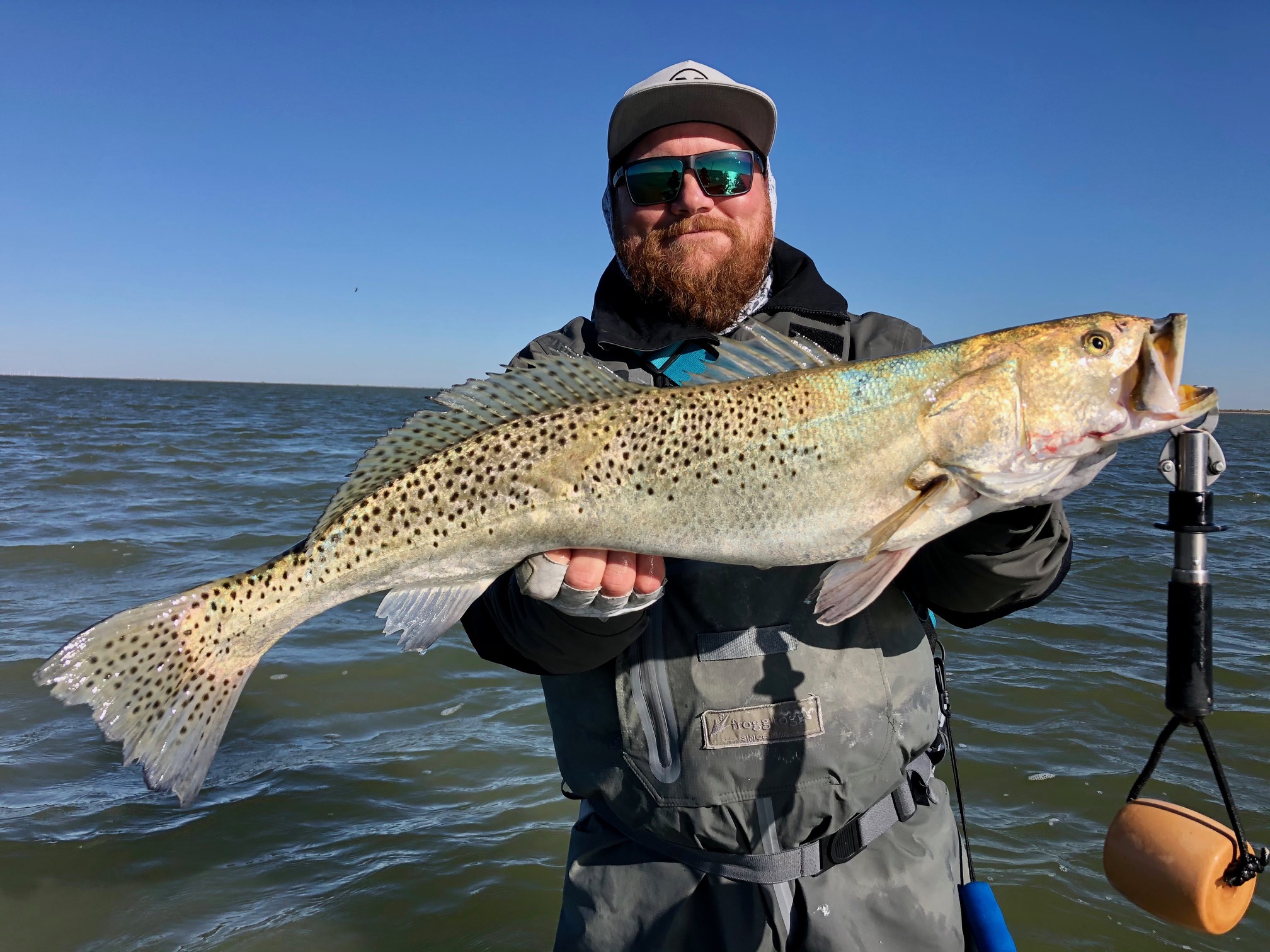 Trophy Trout