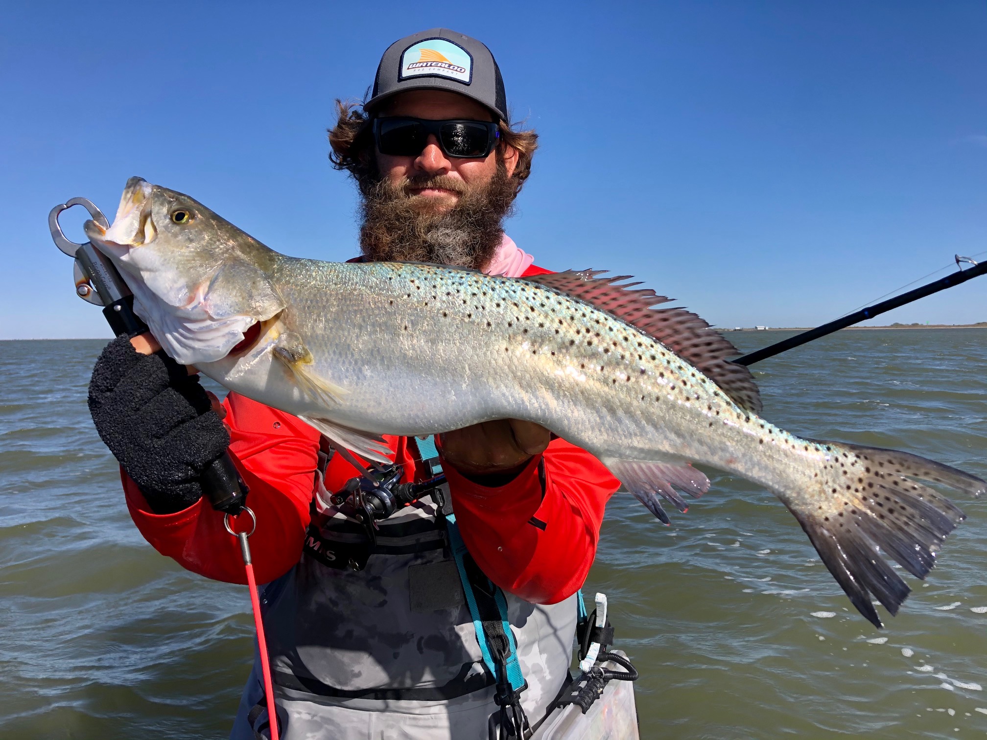 Trophy Trout