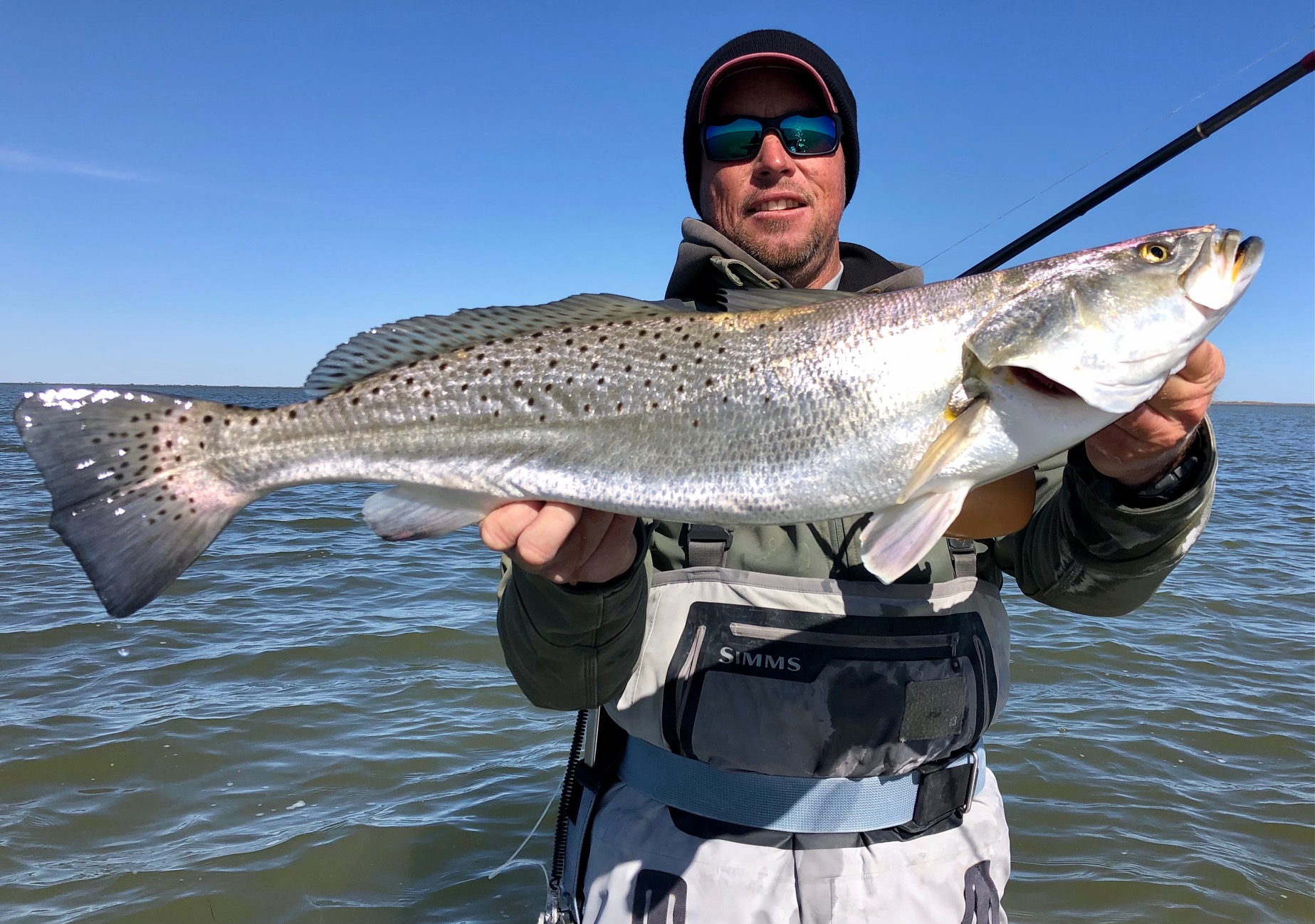 Trophy Trout