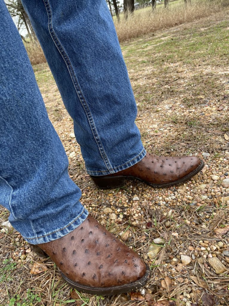 Jb dillon shop ostrich boots