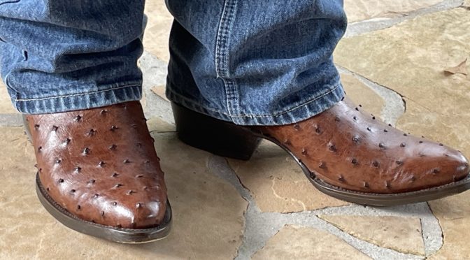Review:  J.B. Dillon Chambers Boots