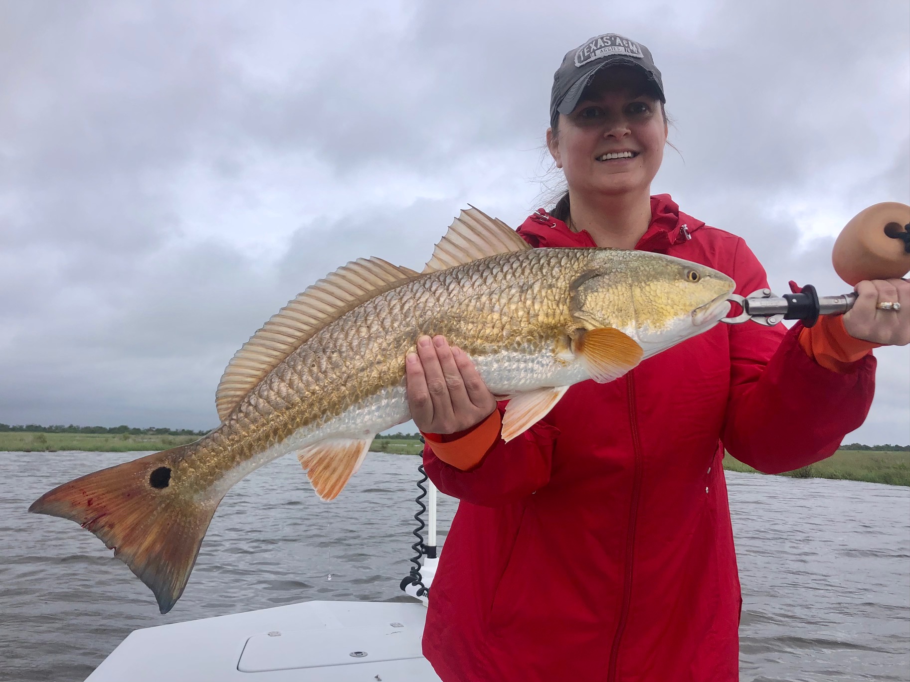 Redfish