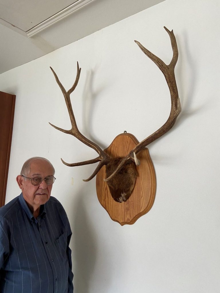 Clarence Scheel Royal Bull Elk