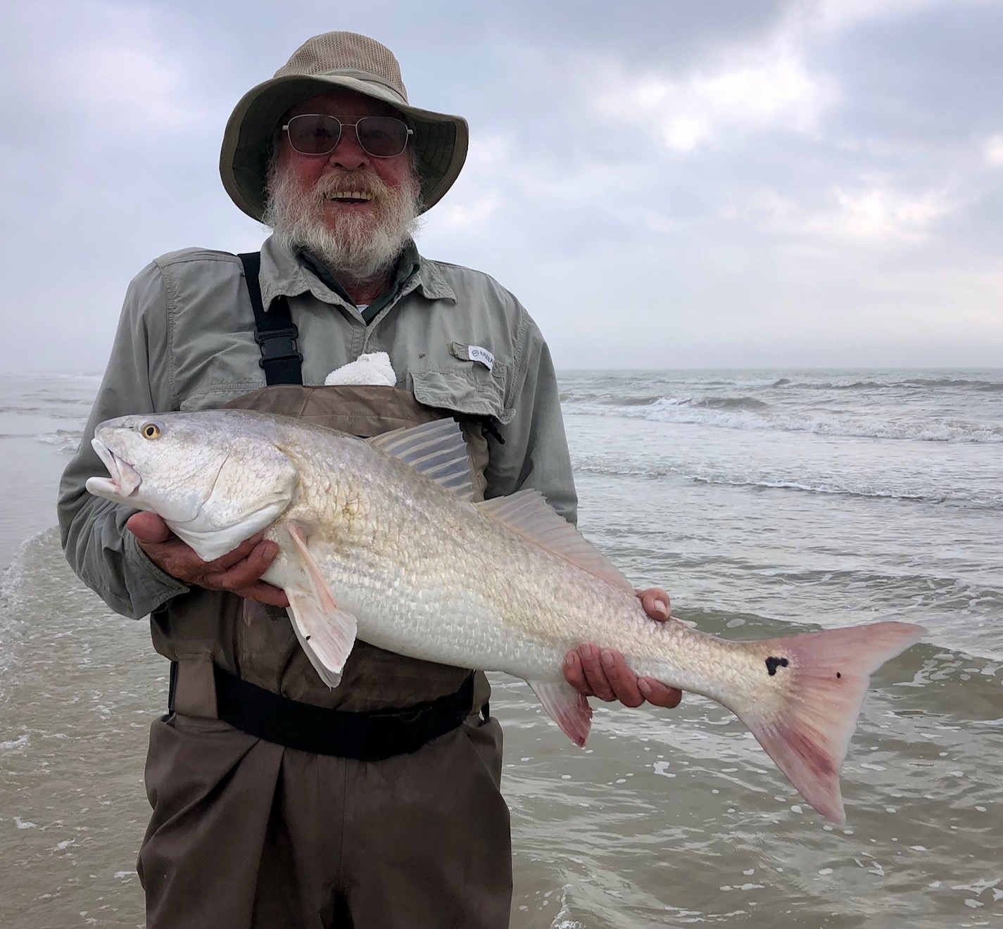 Spring Red Drum in the Lower Bay