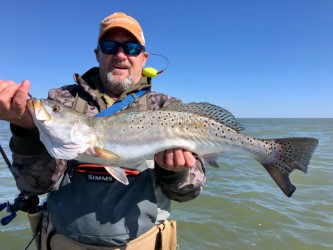 port mansfield trout