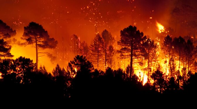 5 Common Causes of Wildland Fires To Avoid