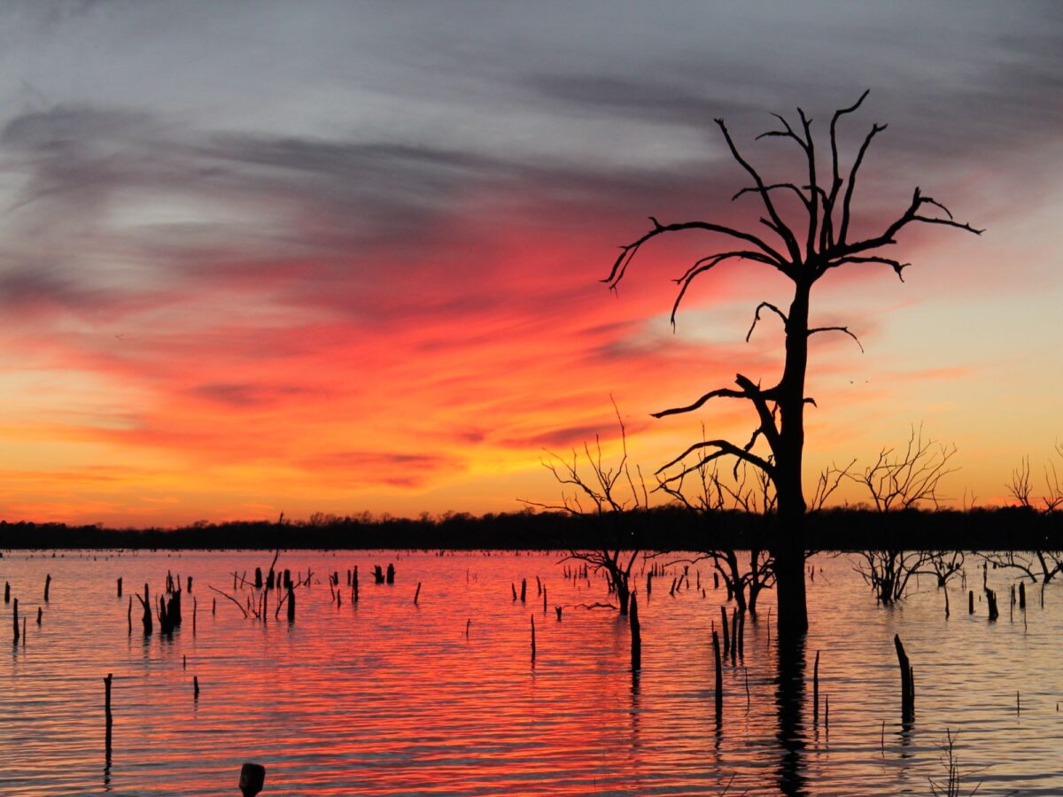 5 of the Best Lakes in Texas for Fishing
