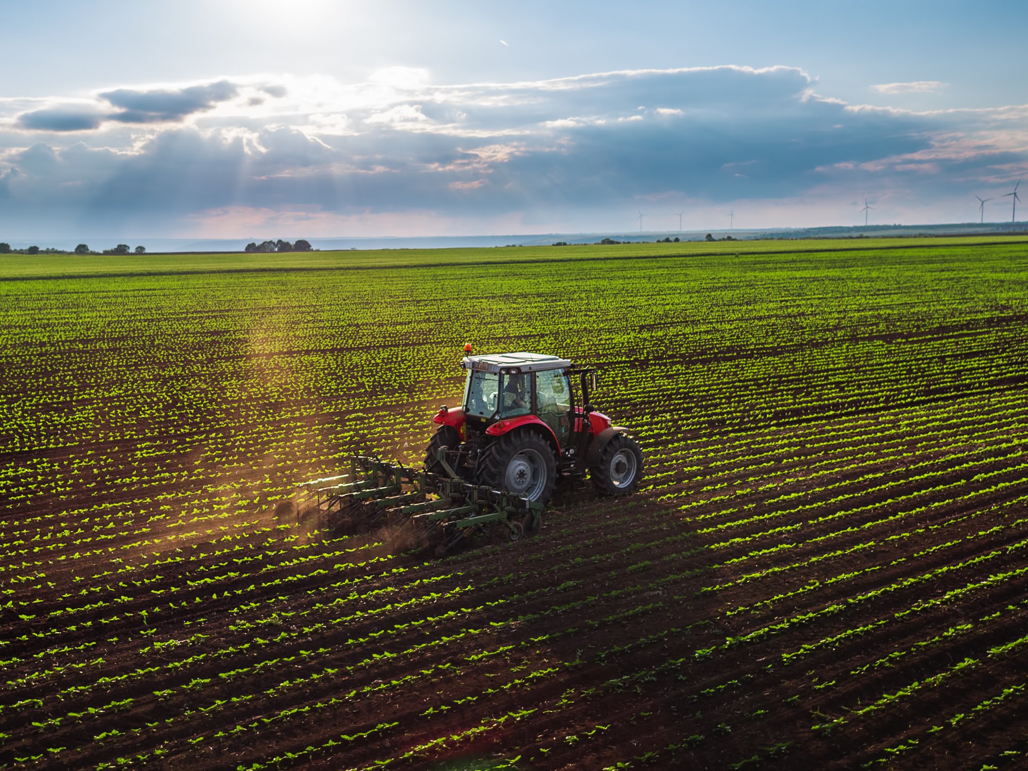 Tractor Brands That Farmers Love the Most and Why