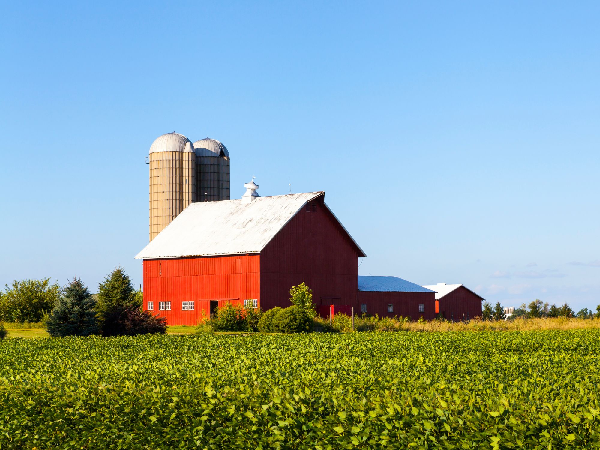 How To Set Up Your Financials To Buy a Farm